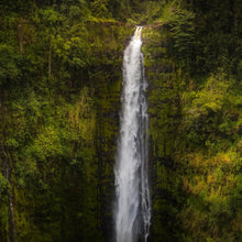 Load image into Gallery viewer, Akaka Falls, Hawaii
