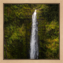 Load image into Gallery viewer, Akaka Falls, Hawaii
