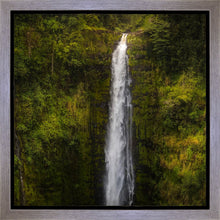 Load image into Gallery viewer, Akaka Falls, Hawaii
