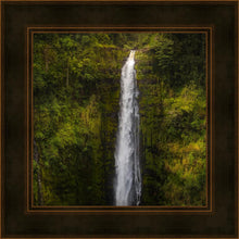 Load image into Gallery viewer, Akaka Falls, Hawaii
