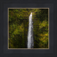 Load image into Gallery viewer, Akaka Falls, Hawaii
