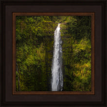 Load image into Gallery viewer, Akaka Falls, Hawaii
