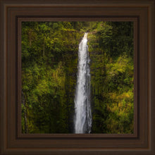 Load image into Gallery viewer, Akaka Falls, Hawaii

