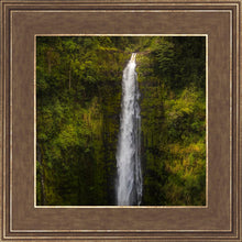 Load image into Gallery viewer, Akaka Falls, Hawaii
