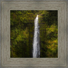 Load image into Gallery viewer, Akaka Falls, Hawaii

