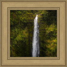 Load image into Gallery viewer, Akaka Falls, Hawaii
