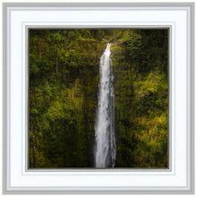 Load image into Gallery viewer, Akaka Falls, Hawaii
