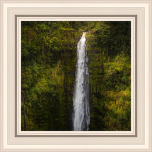 Load image into Gallery viewer, Akaka Falls, Hawaii
