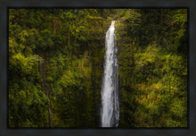 Load image into Gallery viewer, Akaka Falls, Hawaii
