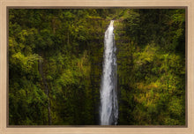 Load image into Gallery viewer, Akaka Falls, Hawaii

