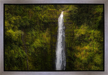 Load image into Gallery viewer, Akaka Falls, Hawaii
