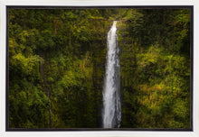 Load image into Gallery viewer, Akaka Falls, Hawaii
