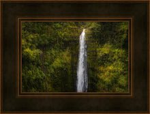 Load image into Gallery viewer, Akaka Falls, Hawaii
