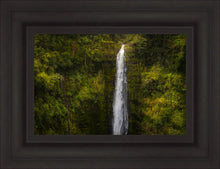 Load image into Gallery viewer, Akaka Falls, Hawaii
