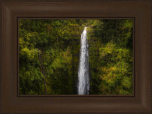 Load image into Gallery viewer, Akaka Falls, Hawaii
