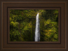 Load image into Gallery viewer, Akaka Falls, Hawaii
