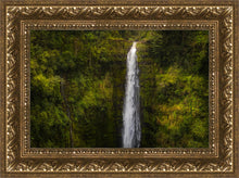Load image into Gallery viewer, Akaka Falls, Hawaii
