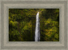 Load image into Gallery viewer, Akaka Falls, Hawaii
