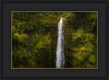 Load image into Gallery viewer, Akaka Falls, Hawaii
