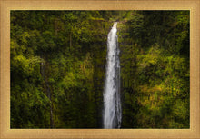 Load image into Gallery viewer, Akaka Falls, Hawaii
