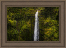 Load image into Gallery viewer, Akaka Falls, Hawaii
