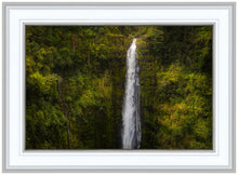 Load image into Gallery viewer, Akaka Falls, Hawaii
