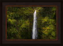 Load image into Gallery viewer, Akaka Falls, Hawaii
