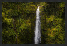 Load image into Gallery viewer, Akaka Falls, Hawaii
