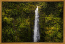 Load image into Gallery viewer, Akaka Falls, Hawaii

