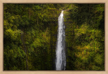 Load image into Gallery viewer, Akaka Falls, Hawaii

