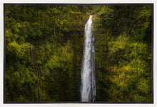Load image into Gallery viewer, Akaka Falls, Hawaii
