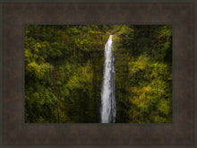 Load image into Gallery viewer, Akaka Falls, Hawaii
