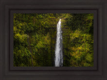 Load image into Gallery viewer, Akaka Falls, Hawaii
