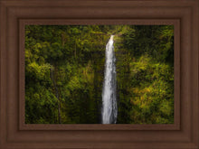 Load image into Gallery viewer, Akaka Falls, Hawaii
