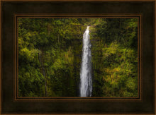 Load image into Gallery viewer, Akaka Falls, Hawaii
