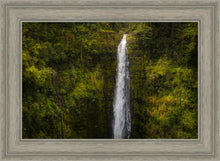 Load image into Gallery viewer, Akaka Falls, Hawaii
