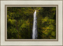 Load image into Gallery viewer, Akaka Falls, Hawaii
