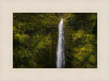 Load image into Gallery viewer, Akaka Falls, Hawaii
