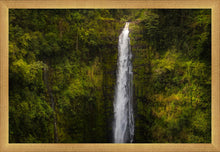 Load image into Gallery viewer, Akaka Falls, Hawaii
