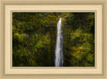 Load image into Gallery viewer, Akaka Falls, Hawaii
