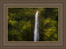 Load image into Gallery viewer, Akaka Falls, Hawaii
