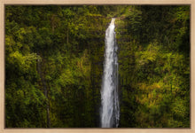 Load image into Gallery viewer, Akaka Falls, Hawaii
