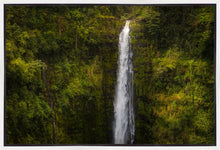 Load image into Gallery viewer, Akaka Falls, Hawaii
