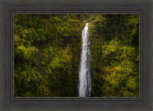 Load image into Gallery viewer, Akaka Falls, Hawaii
