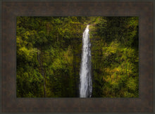 Load image into Gallery viewer, Akaka Falls, Hawaii
