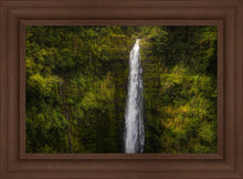 Load image into Gallery viewer, Akaka Falls, Hawaii
