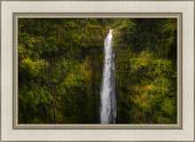 Load image into Gallery viewer, Akaka Falls, Hawaii
