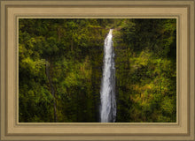 Load image into Gallery viewer, Akaka Falls, Hawaii
