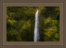 Load image into Gallery viewer, Akaka Falls, Hawaii

