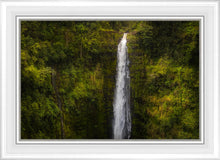 Load image into Gallery viewer, Akaka Falls, Hawaii
